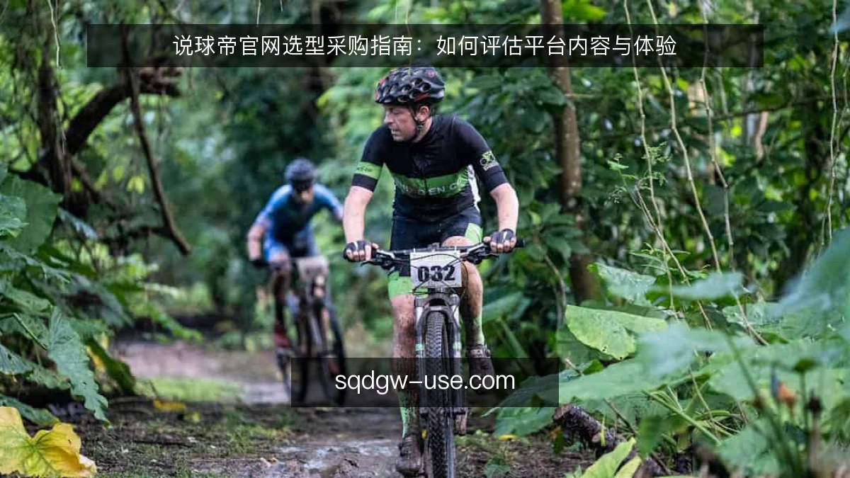 说球帝官网选型采购指南:如何评估平台内容与体验