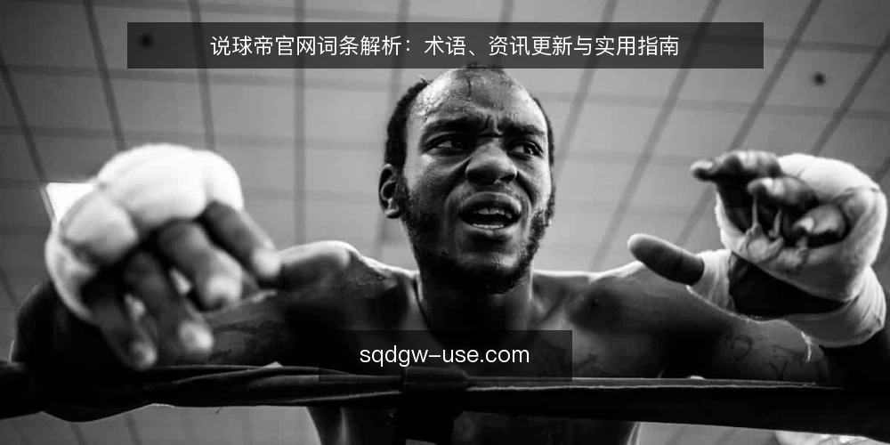 说球帝官网词条解析:术语、资讯更新与实用指南 — 为何现在审计说球帝官网 配图
